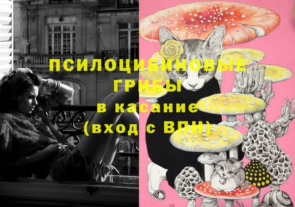 марки lsd Гусев