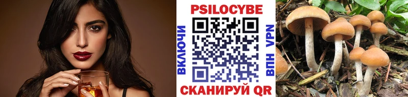 Галлюциногенные грибы Psilocybe  Купить закладки  Королёв 